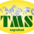 TMS sayahat